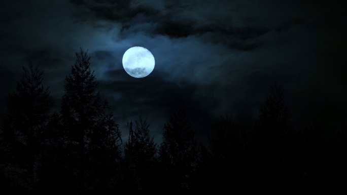 森林里的满月暗黑黑暗森林恐怖夜晚阴森乌云