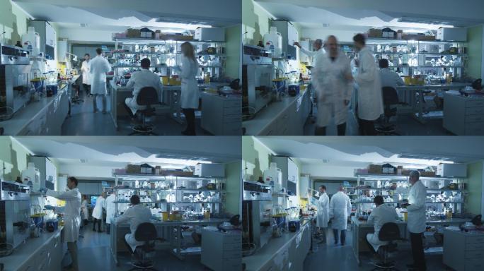 科学家在现代实验室里工作