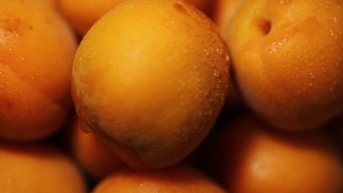 杏子经济水果甜杏土特产
