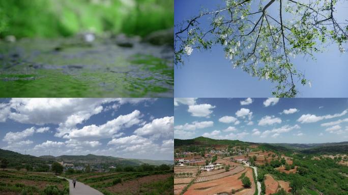 乡村 夏季风光延时农田