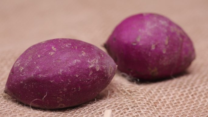 蛋黄酥肉松紫薯芋泥糍粑点心甜
