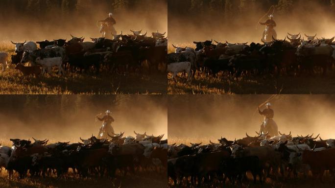 驱赶牛群的牧人田园风光牧场生活牧人日常