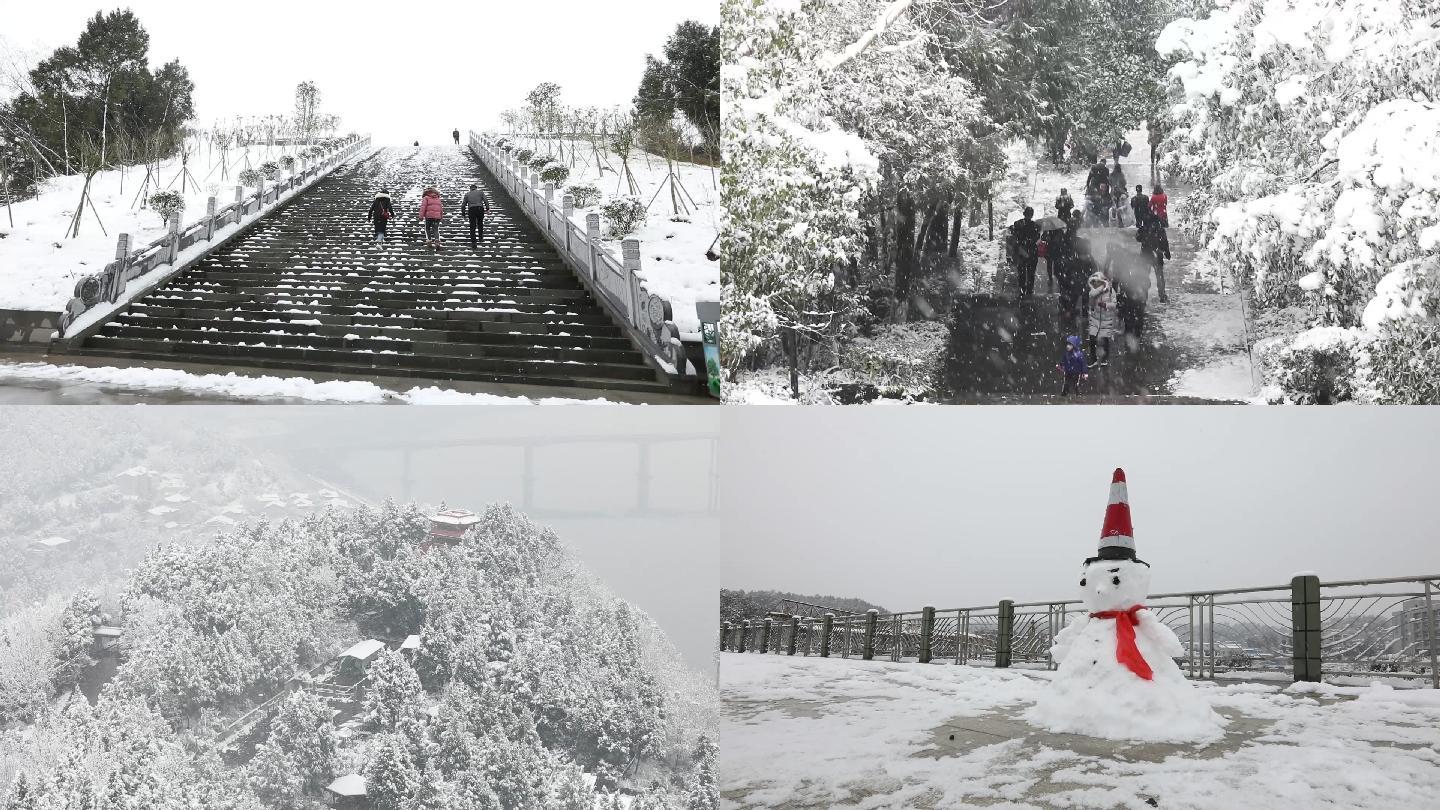 苍溪县城下大雪了