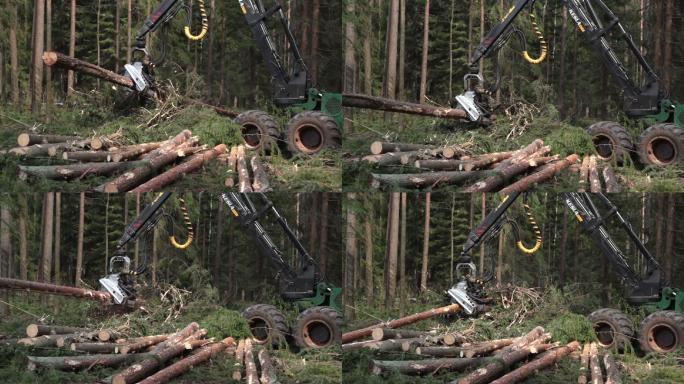 采伐松木的林业设备
