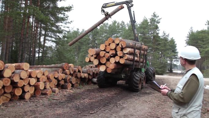 运输木材破坏生态伐木砍树毁坏植被
