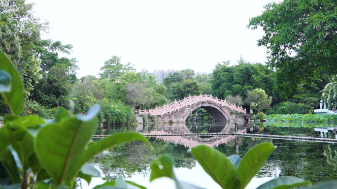 新都桂湖公园4K