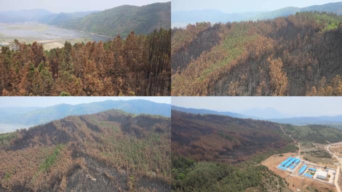 航拍湿地火烧山建筑