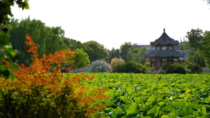 保定莲池书院