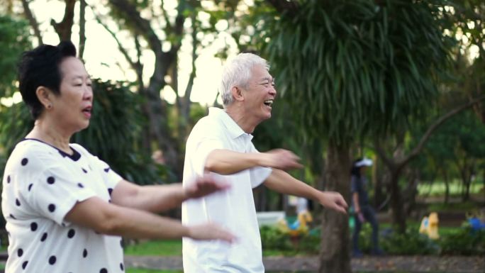 老年夫妇在公园里跳舞做有氧运动