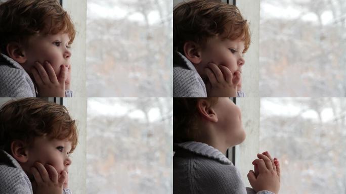 男孩看着窗外飘落的雪