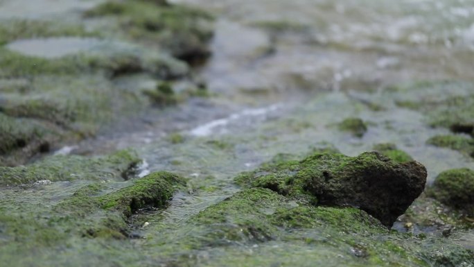 海边浪花水花拍击岸边礁石青苔冲刷