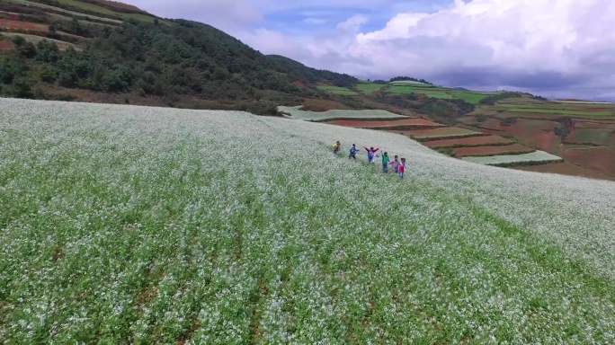 孩子们在田野奔跑