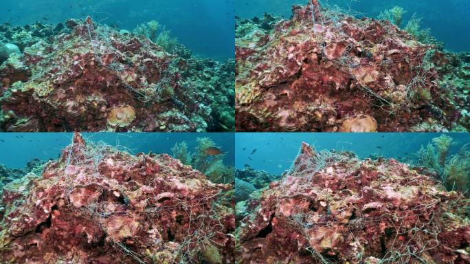 水下渔网污染珊瑚礁