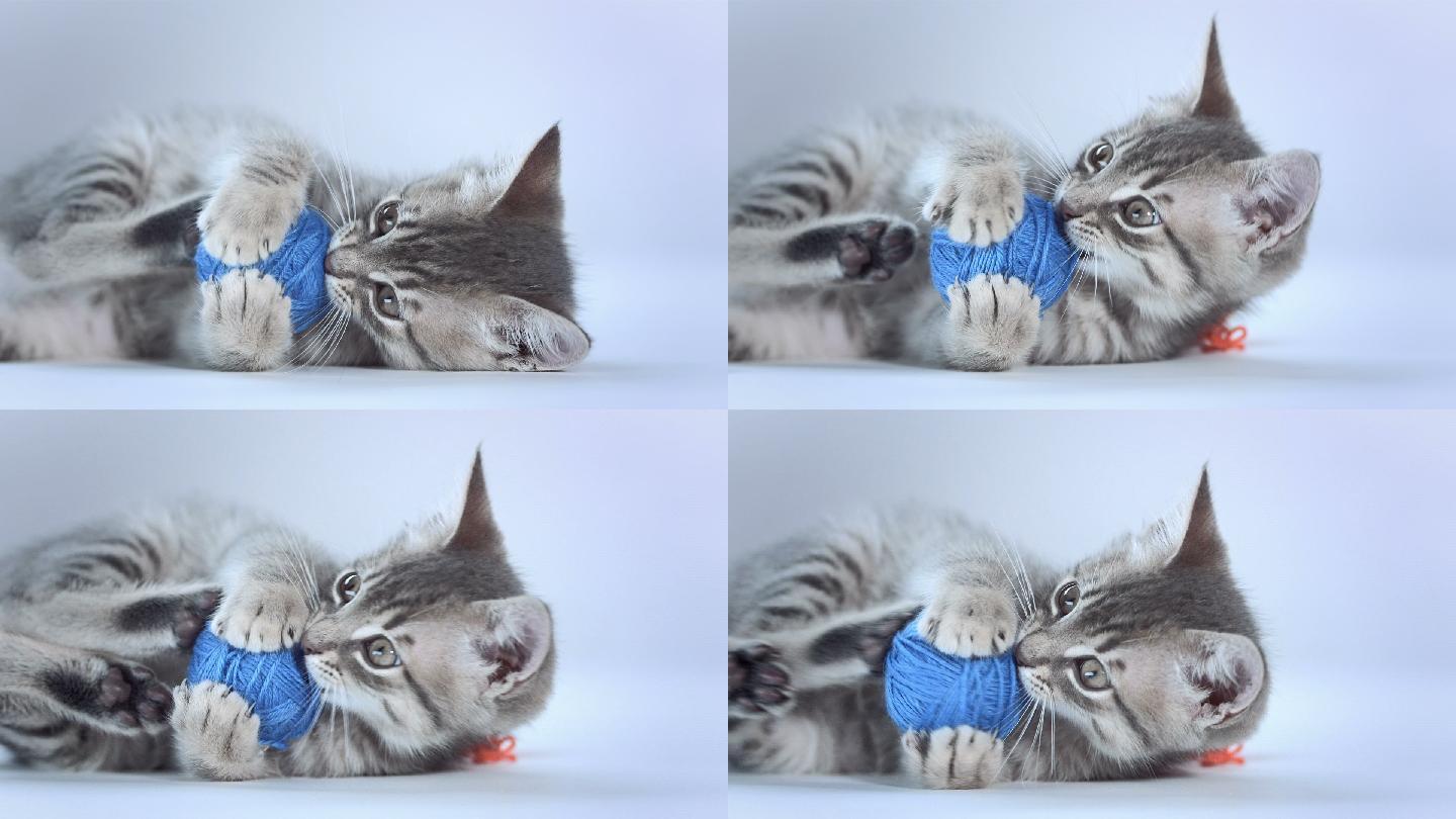 可爱的小猫玩球