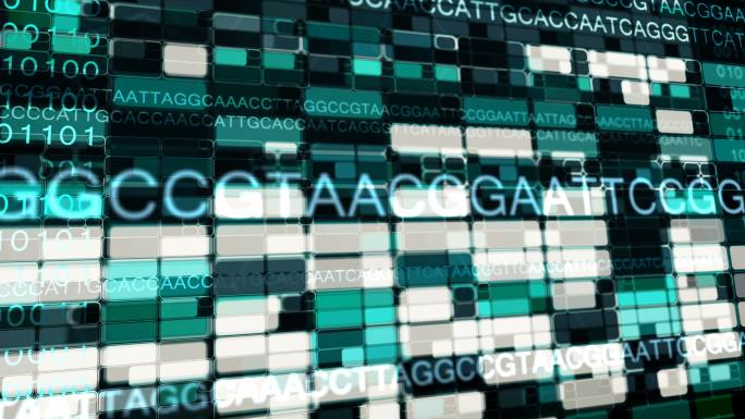透视三维视图中的基因组DNA序列