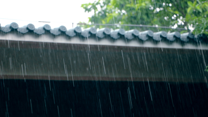 下雨夏天雨季荷花荷叶雨后雨珠空镜头
