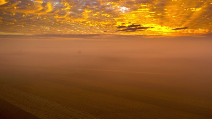 黎明时分，薄雾飘浮在平原的田野上