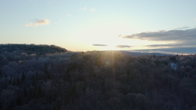 日出冻雨后冬季天然林