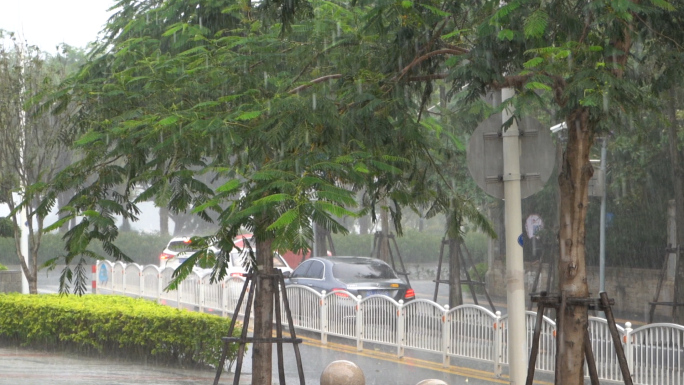 正在下大雨的街道场景