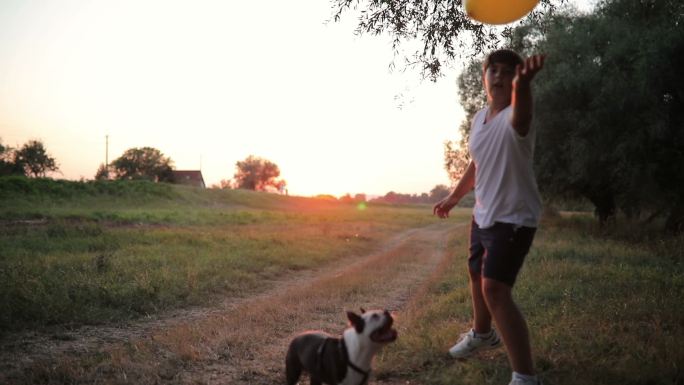 男孩和他的狗玩气球
