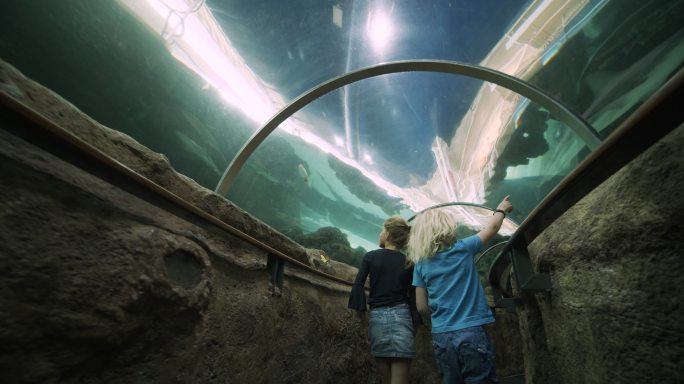 孩子们跟着大鱼在水族馆隧道里奔跑