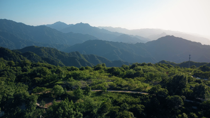 【原创实拍】秦岭山脉高山草甸生态山林风光