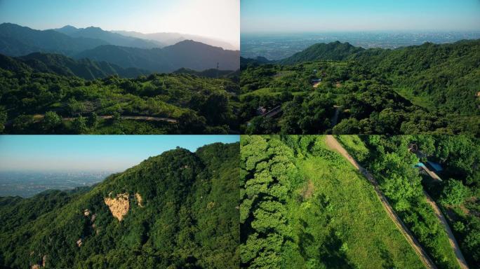 【原创实拍】秦岭山脉高山草甸生态山林风光