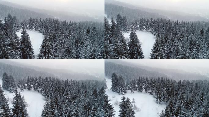 山上的冬天冬天冬季冰冻雪花下雪雪乡雾凇风