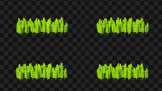 绿色植物小草通道动画A13