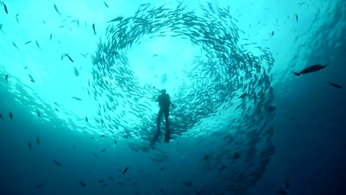 鱼群海底世界深海大海