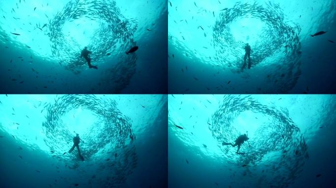 鱼群海底世界深海大海