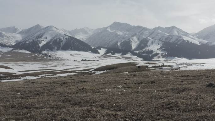 那拉提雪山冬景4