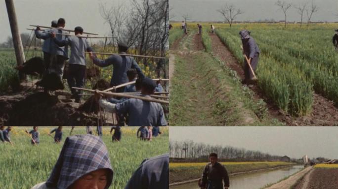 70年代农村劳动老视频