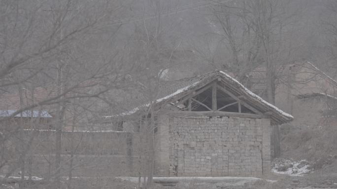 陕北村落乡村生活冬天雪后农村狗