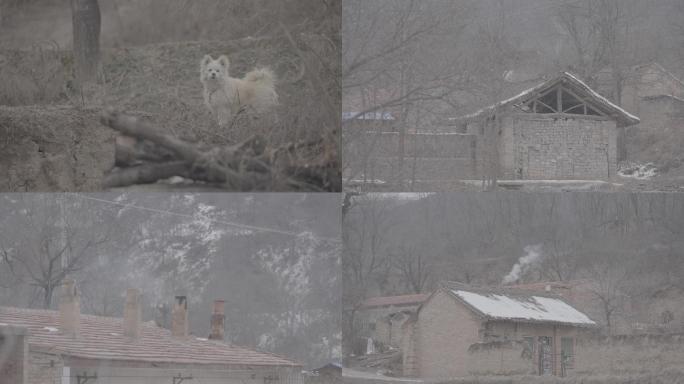 陕北村落乡村生活冬天雪后农村狗