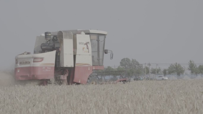 农业收割小麦