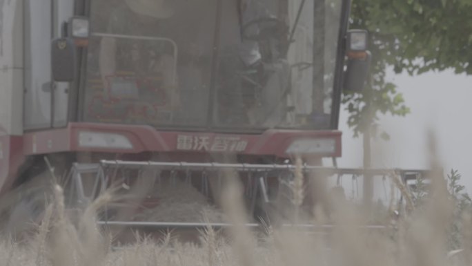 农业收割机收割小麦