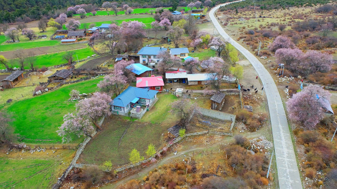 西藏桃花沟最古朴的村庄