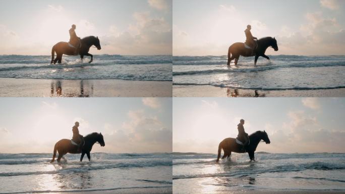 骑马走过沙滩大自然纪录片扶贫产业内蒙古大