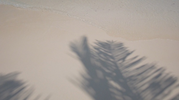 白色沙滩上柔和的海浪和椰子树的影子