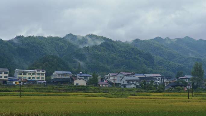 湖南稻田阴天山村云雾缭绕山脉