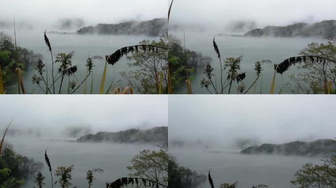 山雾飘渺花草随风动