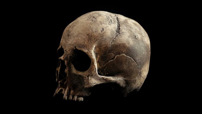 头骨恐怖骷髅石器时代远古人头