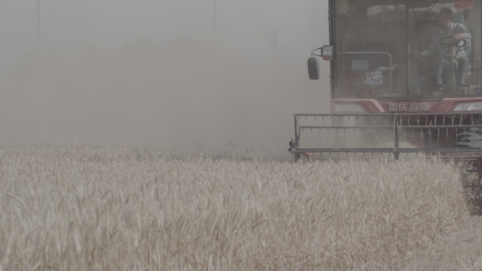 农业小麦收割机