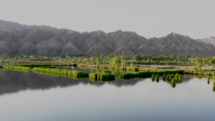 太极岛鱼塘