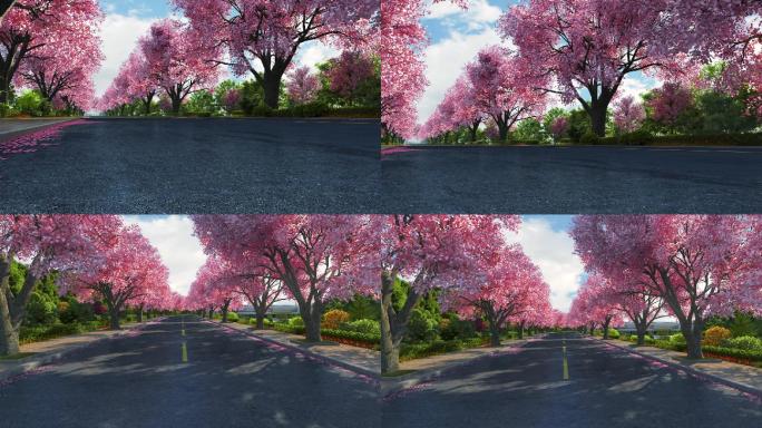 樱花树街道