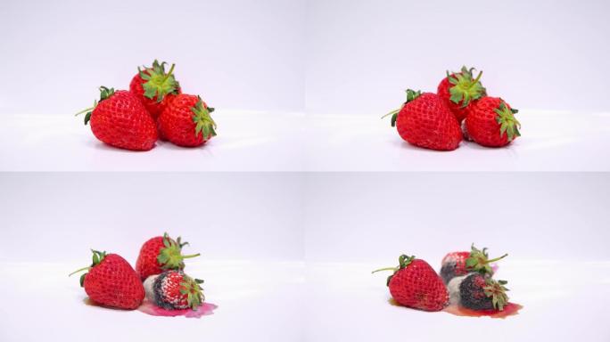 4K-草莓腐烂