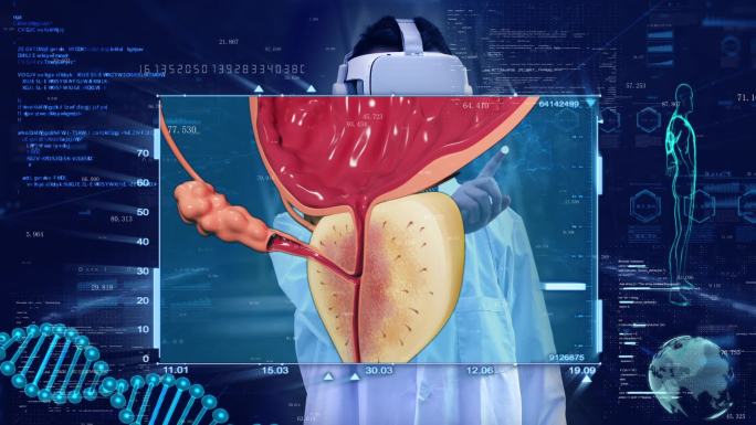 VR虚拟现实ar智慧医疗前列腺膀胱泌尿系
