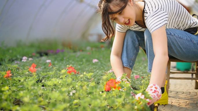 在打理花圃的女人花园后花园种花