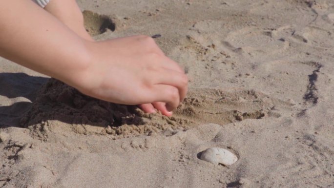 海边沙子找贝壳慢动作